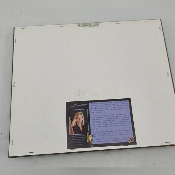 Bald eagle art with dreamcatcher signed by Jody Bergma in framed shadowbox - Picture 2 of 9